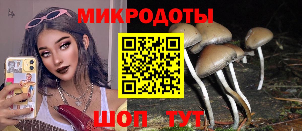 Тула  Псилоцибиновые грибы Cubensis  Вход с VPN 