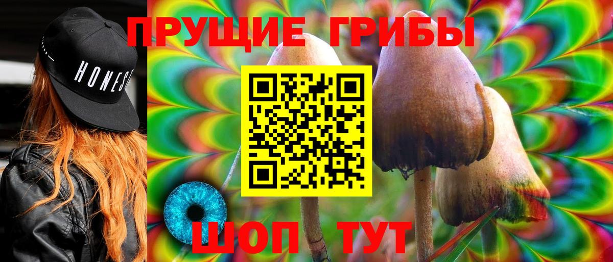 Псилоцибиновые грибы Psilocybe Тула